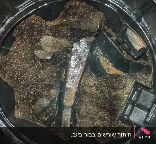 תא איסוף פסולת במשאית ואקום עם לכלוך